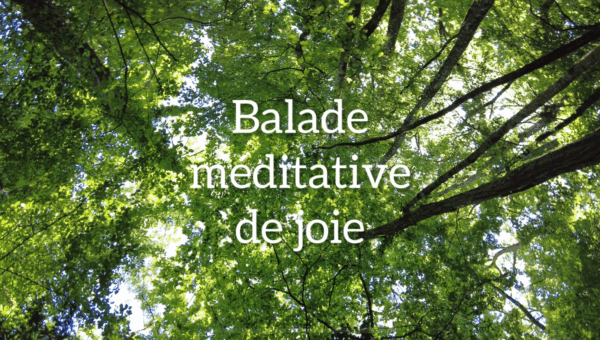 🎧 Un souffle de nature – quelques minutes pour revenir à soi